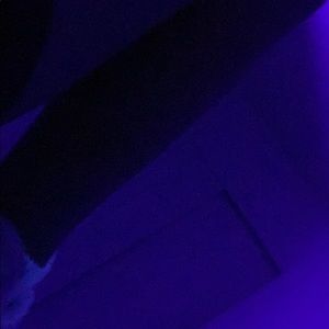 Meet your Posher, Rodrigo